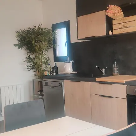 Logement Cosy Neuf Avec Jardin Mions Exterior foto