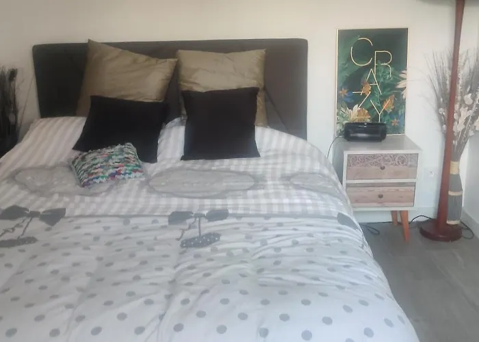 Logement Cosy Neuf Avec Jardin